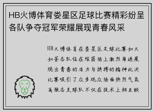 HB火博体育娄星区足球比赛精彩纷呈各队争夺冠军荣耀展现青春风采