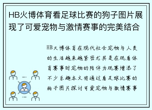 HB火博体育看足球比赛的狗子图片展现了可爱宠物与激情赛事的完美结合